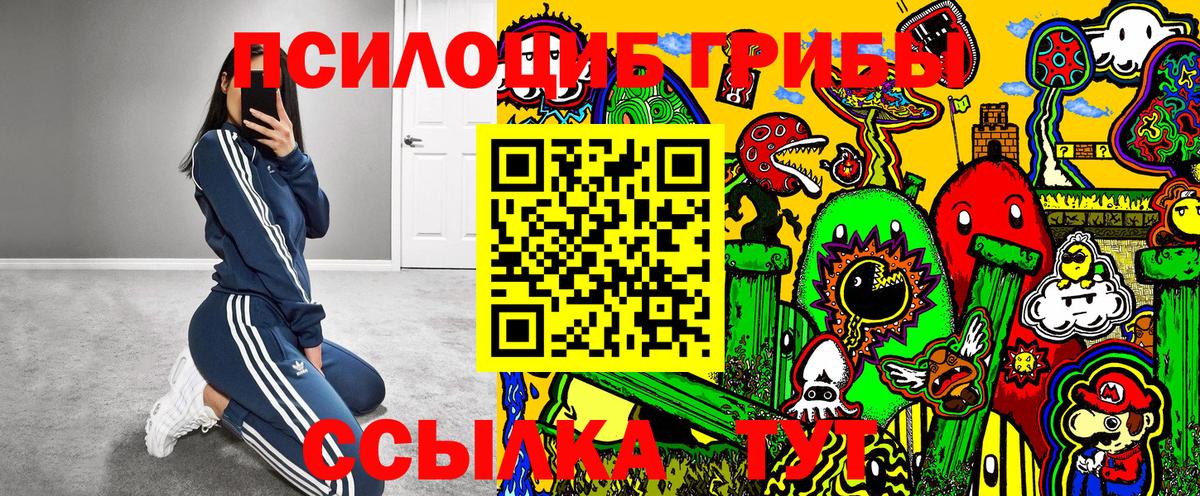 Псилоцибиновые грибы GOLDEN TEACHER  Галлюциногенные грибы прущие грибы  Вход с VPN  Кириши 